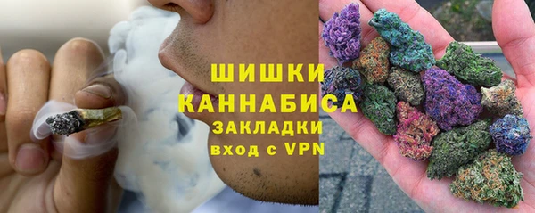 шишки Балабаново