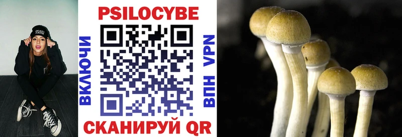 блэк спрут как войти Углич Галлюциногенные грибы Magic Shrooms